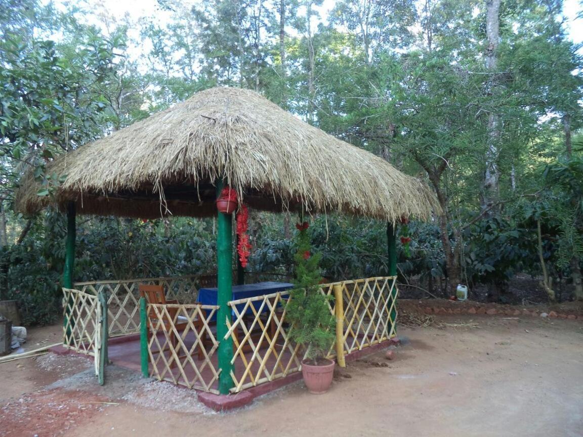 Dreams Home Estate Stay Suntikoppa Ngoại thất bức ảnh